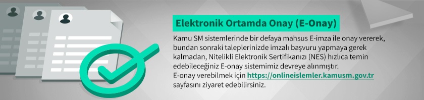 Elektronik Ortamda Onay